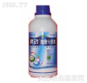 (x)-(lin)(dng)-?tng)? width=