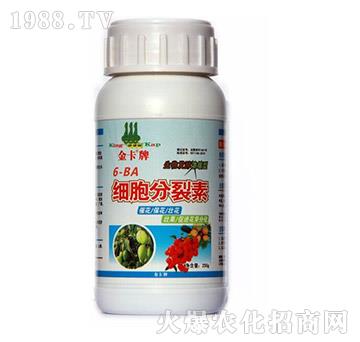 (x)--?tng)? width=