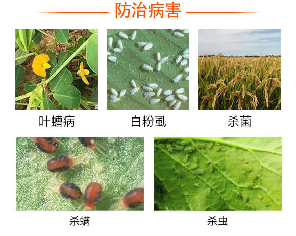 硫磺懸浮液體替代品-戰粉·硫-強農生物_03